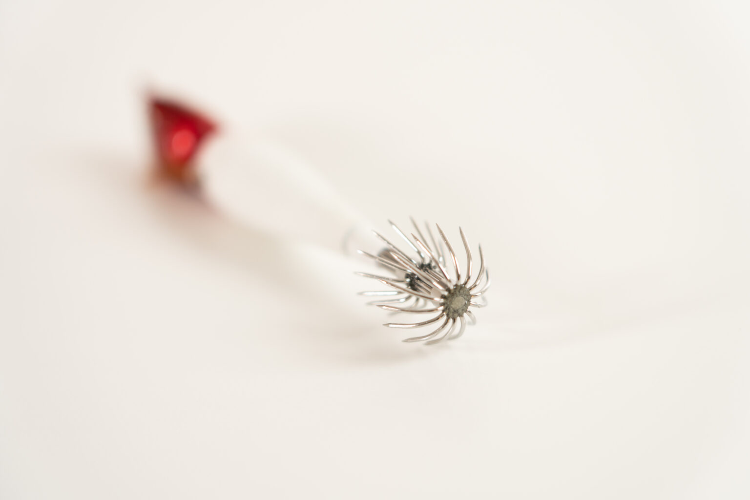 アニサキスッテ / ANISAKISUTTE アニサキス公式HP